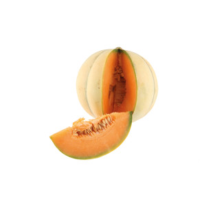 Plant de Melon
