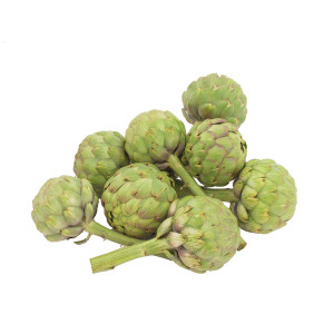 Plant d'Artichaut – Image 3