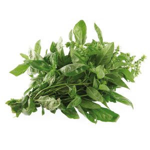 Basilic Génovese