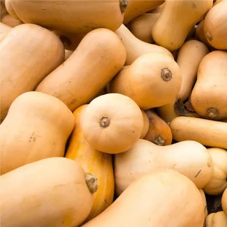 Butternut BIO – Image 2