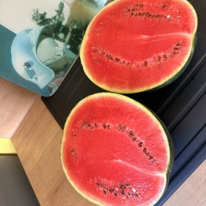 Pastèque sugar baby